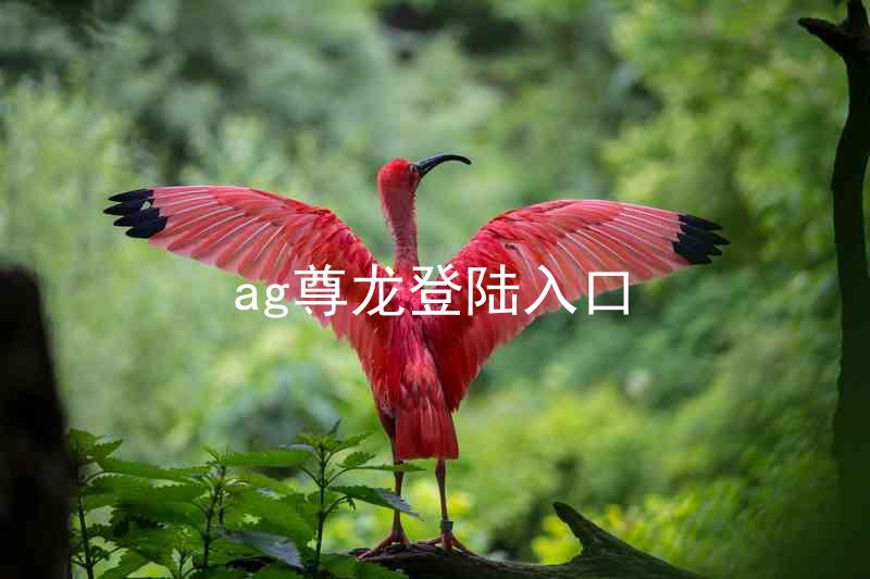 ag尊龙登陆入口